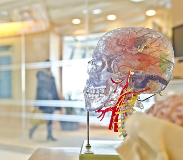 Plantillas deportivas